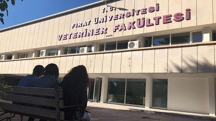 Uluslararası başarıya imza atan FÜ Veteriner Fakültesi, EAEVE tarafından akredite edildi