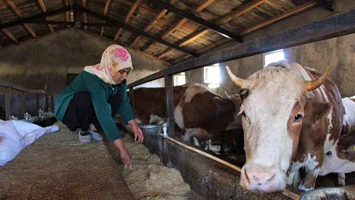 Üniversiteyi bitirdi, devletten aldığı destek ile genç yaşta besici oldu