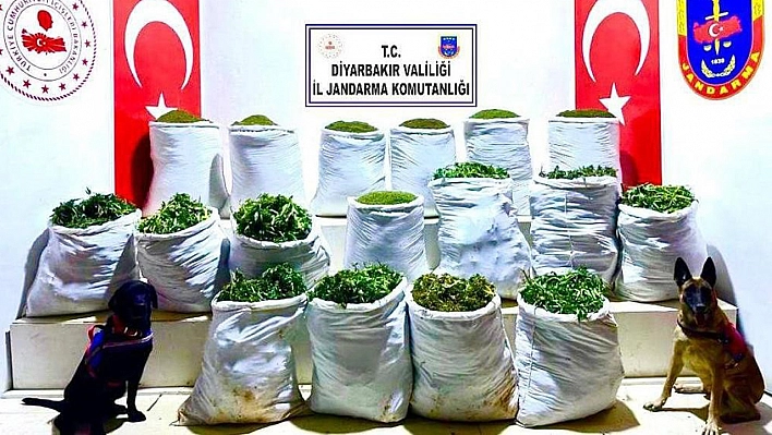 Uyuşturucu Operasyonunda: 285 Kilo Esrar Ele Geçirildi