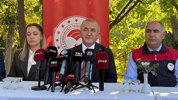 Vali Hatipoğlu: 'Devletimizin tüm imkanlarıyla kadınlarımızın yanındayız'