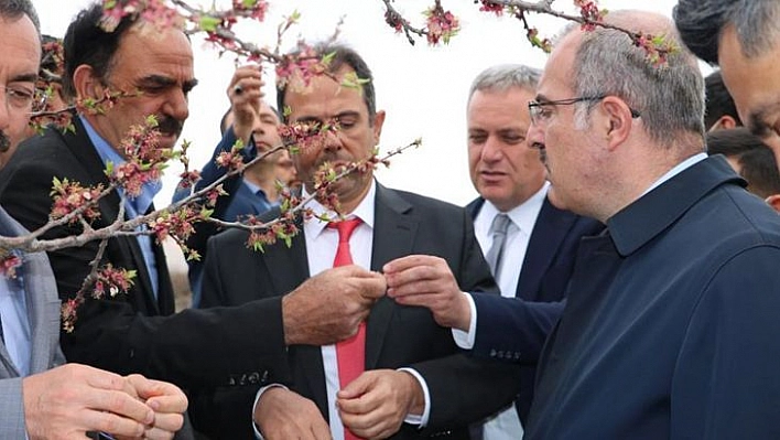 Vali Toraman Baskil'de ki Kayısı Bahçelerinde İncelemelerde Bulundu