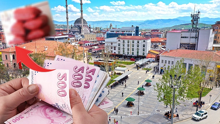 Vatandaş Seviyor Ama Elazığ'da Kilosu 100 Lira!