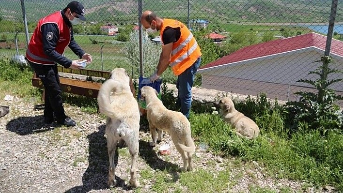 Vefa ekibi, can dostları unutmadı