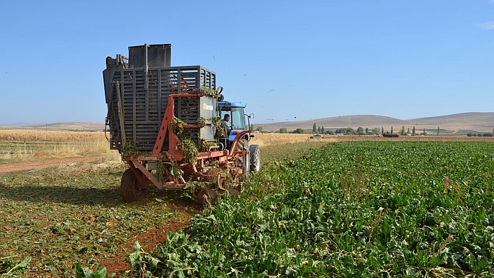 Verimliliğiyle Çiftçinin Yüzünü Güldürdü