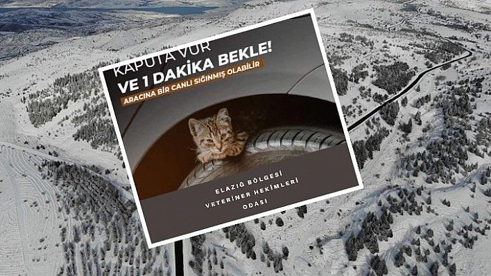 Veteriner Hekimleri Odası'ndan önemli uyarı