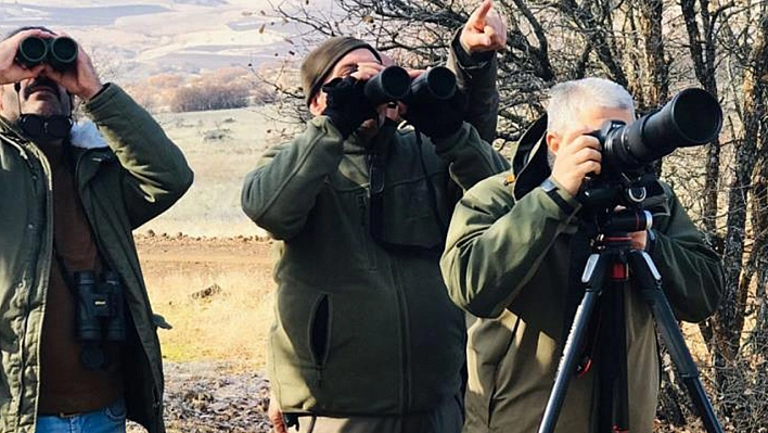 Yaban keçisi envanter çalışması Elazığ'da yapıldı