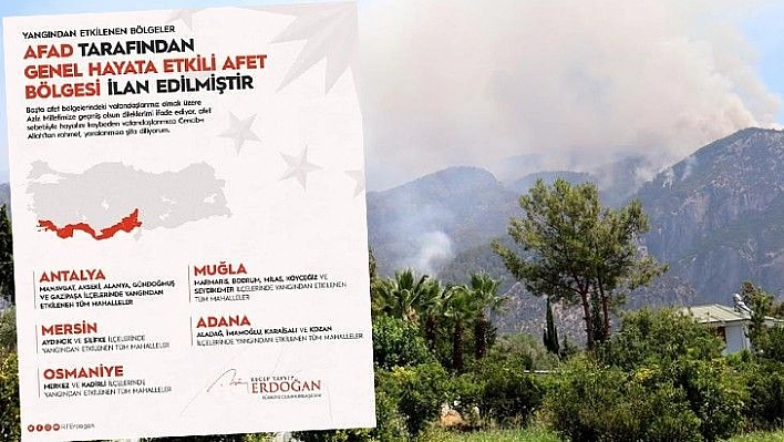 Yangın alanları afet bölgesi ilan edildi