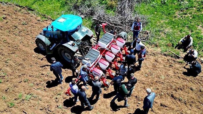 Yedisu horoz kuru fasulyesi üretimi 10 kat arttı