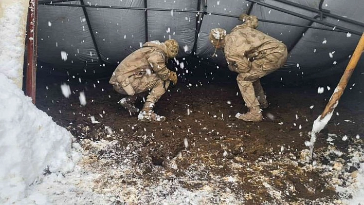 Yıkılan çadırın altına kalan hayvanlar jandarma tarafından kurtarıldı