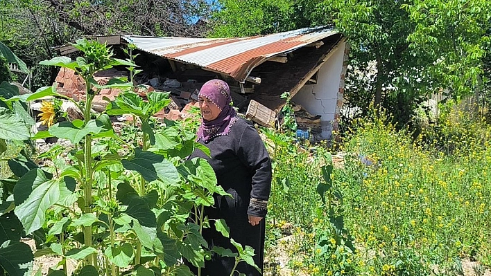 Yıkılan Evlerinin Enkazında Yeşeren 'Ayçiçekleri' ile Nefes Almaya Çalışıyorlar