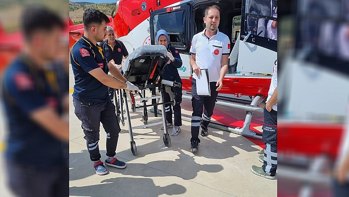 Yılanın Soktuğu Çocuk, Elazığ'da Tedavi Altına Alındı