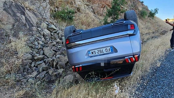 Elazığ'da Bir Sürücü Yola Çıkan Yılanı  Ezmemek İçin Canından Olacaktı