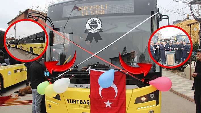 Yurtbaşı'nda ulaşım artık sorun değil