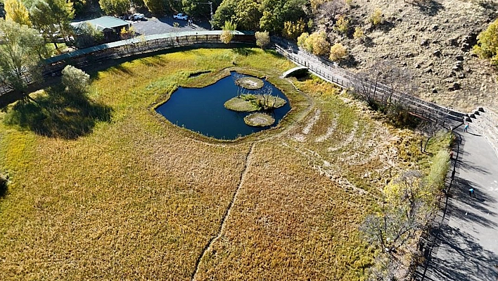 Yüzen Adalar'da sonbahar güzelliği