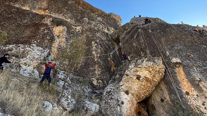 Zorlu arazide mahsur kalan 25 keçi güvenle kurtarıldı