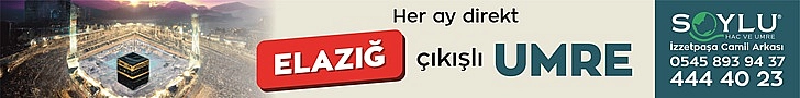 logo-yani-1