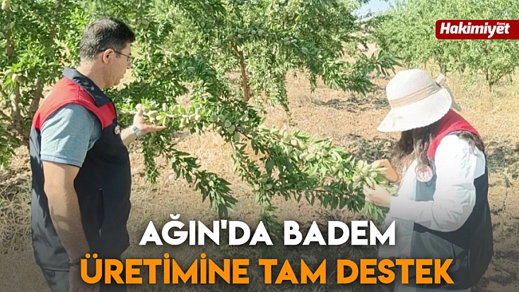 Ağın'da badem üretimine tam destek