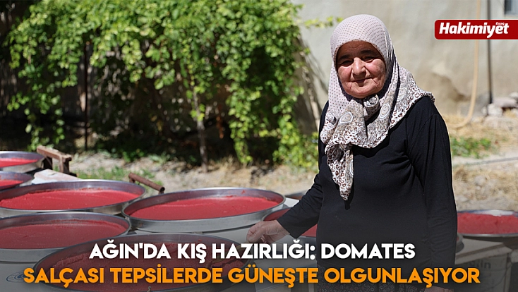 Ağın'da kış hazırlığı: domates salçası tepsilerde güneşte olgunlaşıyor