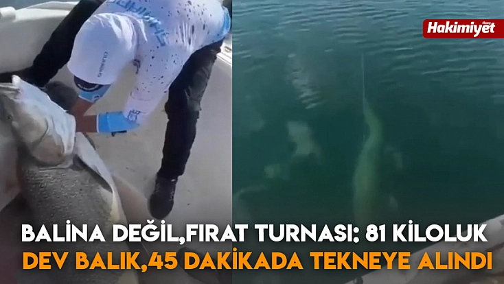 Balina değil,fırat turnası: 81 kiloluk dev balık,45 dakikada tekneye alındı