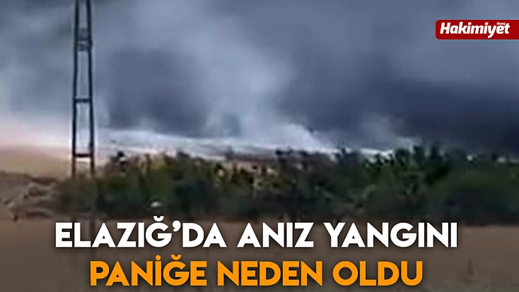 Baskil’de anız yangını paniğe neden oldu