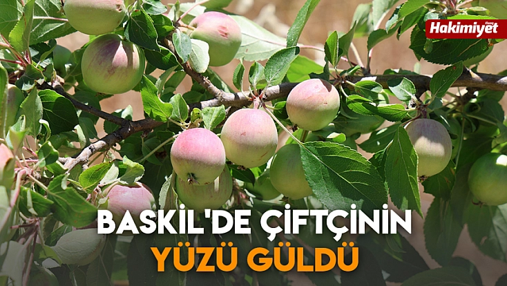 Baskil'de çiftçinin yüzü güldü