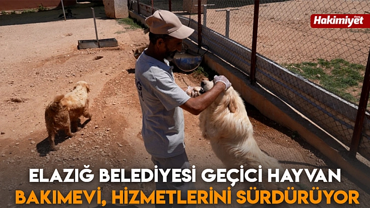 Elazığ Belediyesi Geçici Hayvan Bakımevi, hizmetlerini sürdürüyor