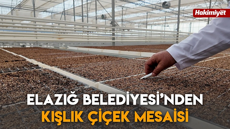 Elazığ Belediyesi’nden kışlık çiçek mesaisi