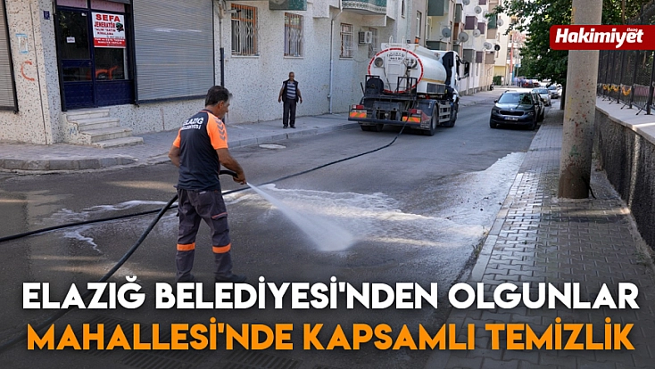 Elazığ Belediyesi'nden Olgunlar Mahallesi'nde kapsamlı temizlik