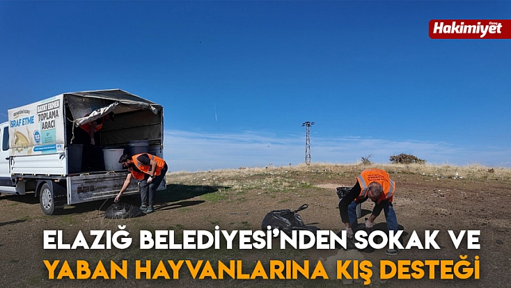 Elazığ Belediyesi’nden sokak ve yaban hayvanlarına kış desteği