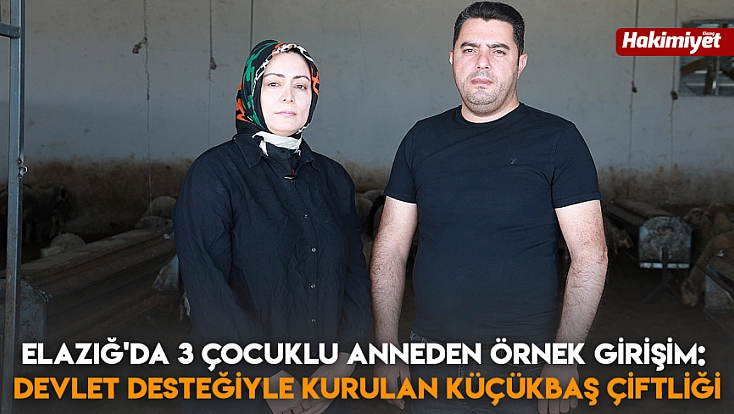 Elazığ'da 3 Çocuklu Anneden Örnek Girişim: Devlet Desteğiyle Kurulan Küçükbaş Çiftliği
