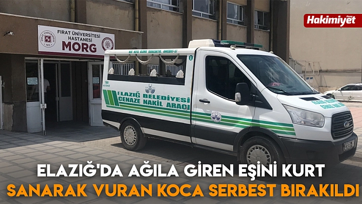 Elazığ'da ağıla giren eşini kurt sanarak vuran koca serbest bırakıldı