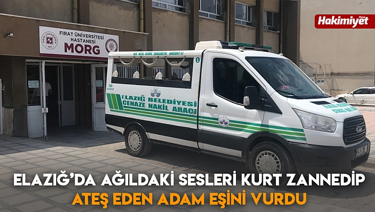 Elazığ’da ağıldaki sesleri kurt zannedip ateş eden adam eşini vurdu