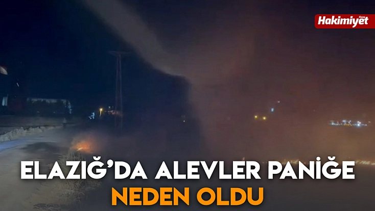 Elazığ’da alevler paniğe neden oldu