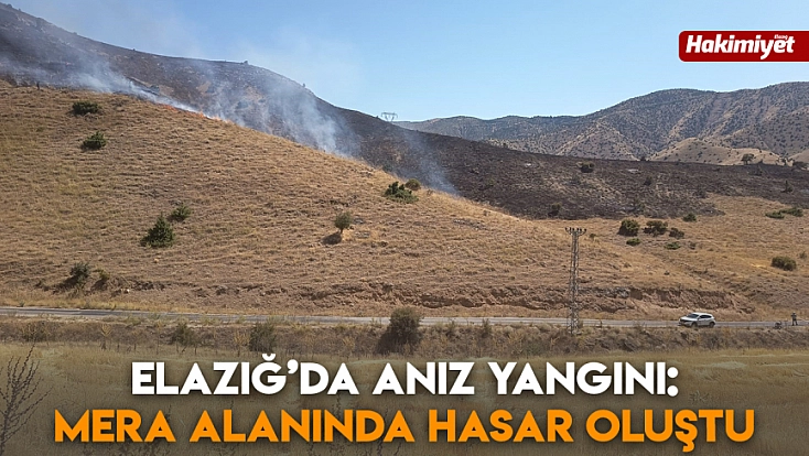 Elazığ’da anız yangını: Mera alanında hasar oluştu
