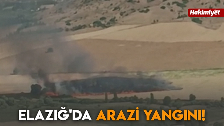 Elazığ'da arazi yangını!