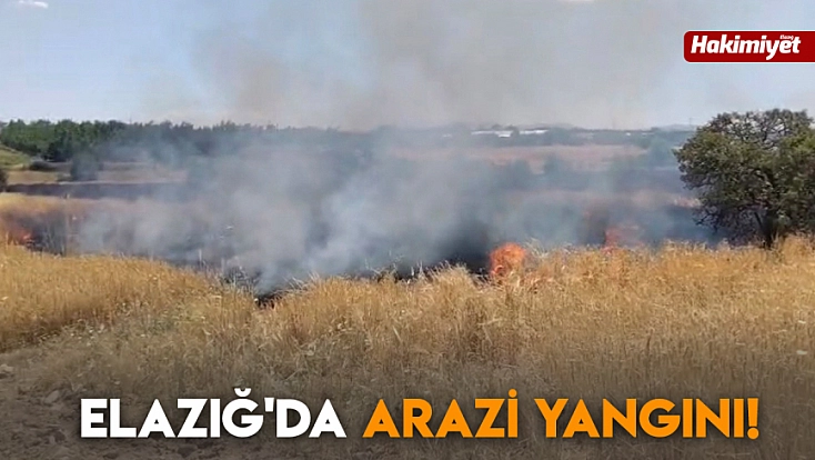 Elazığ'da arazi yangını!
