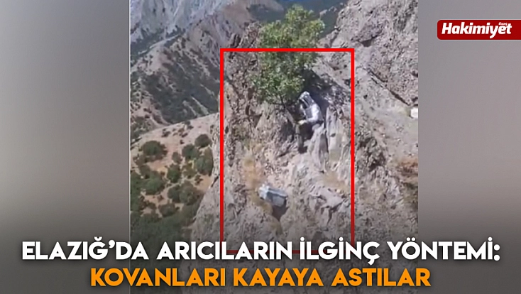 Elazığ’da arıcıların ilginç yöntemi: Kovanları kayaya astılar