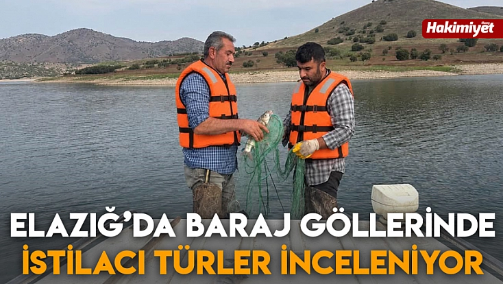 Elazığ’da baraj göllerinde istilacı türler inceleniyor