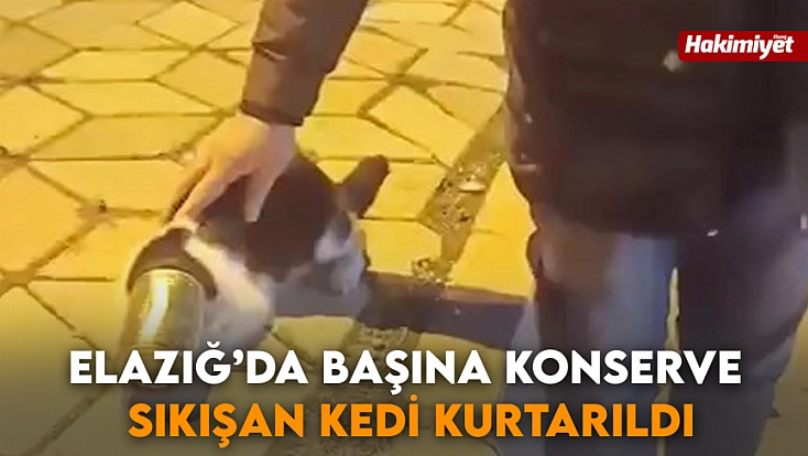 Elazığ’da başına konserve sıkışan kedi kurtarıldı