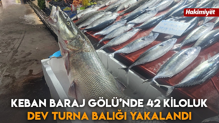 Elazığ'da bu balık ilgi odağı oldu