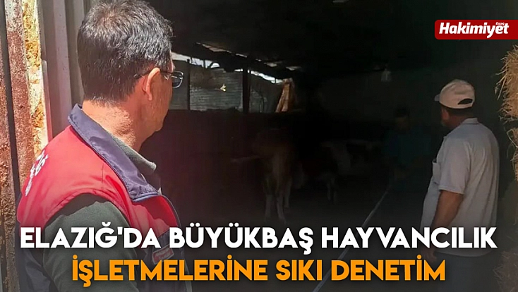 Elazığ'da büyükbaş hayvancılık işletmelerine sıkı denetim