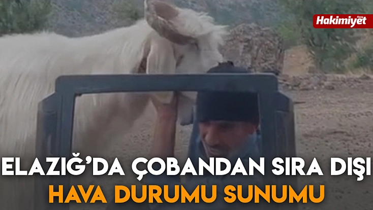 Elazığ’da çobandan sıra dışı hava durumu sunumu