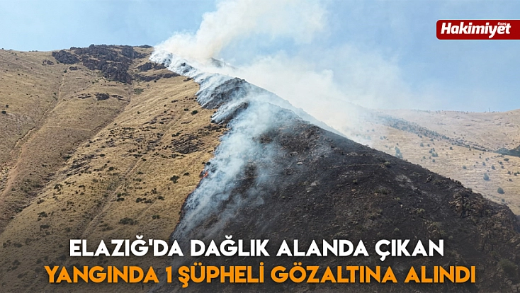 Elazığ'da dağlık alanda çıkan yangında 1 şüpheli gözaltına alındı