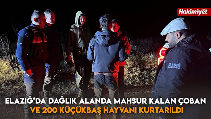 Elazığ’da dağlık alanda mahsur kalan çoban ve 200 küçükbaş hayvanı kurtarıldı