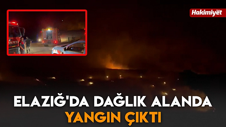 Elazığ'da dağlık alanda yangın çıktı