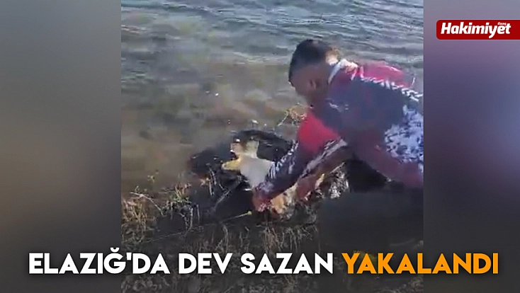 Elazığ'da dev sazan yakalandı