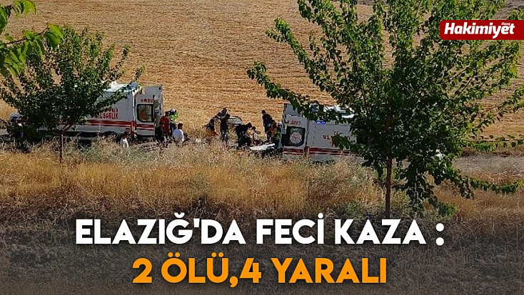 Elazığ'da feci kaza: 2 ölü, 4 yaralı