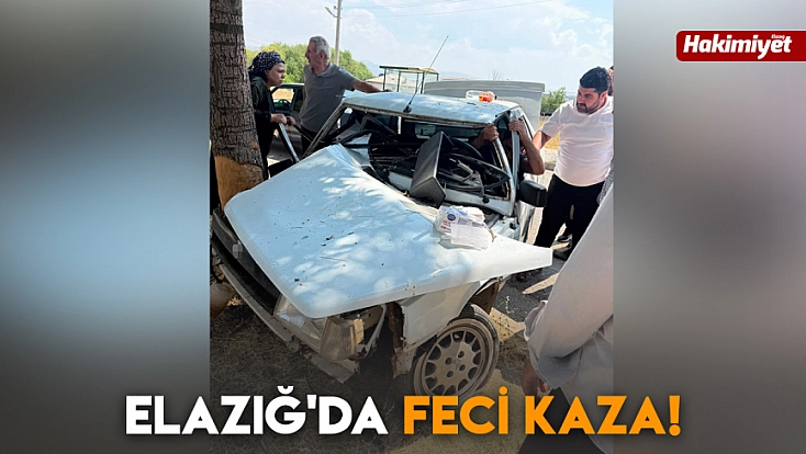 Elazığ'da feci kaza!