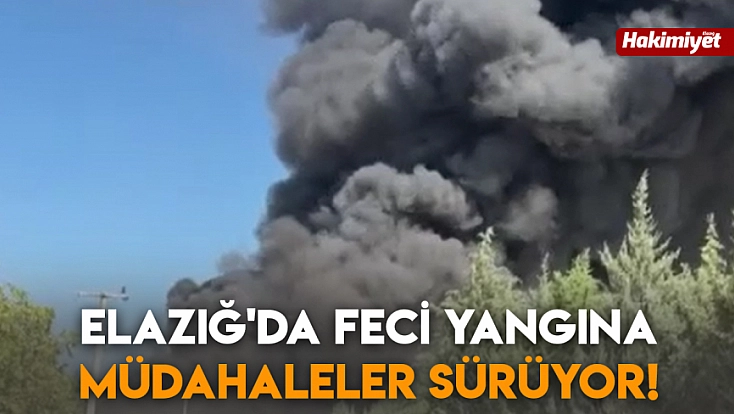 Elazığ'da feci yangına müdahaleler sürüyor!