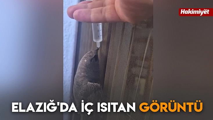 Elazığ'da iç ısıtan görüntü